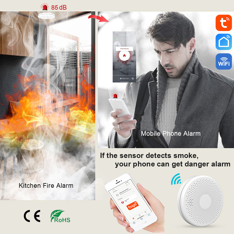 2 in 1 Version WiFi Tuya Smart - Smart Smoke Detector のレビューと価格