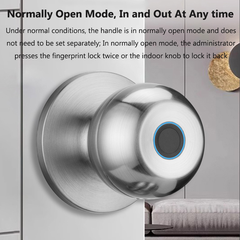 Tuya Door Lock Smart Fingerpri - Smart Home Gateway のレビューと価格