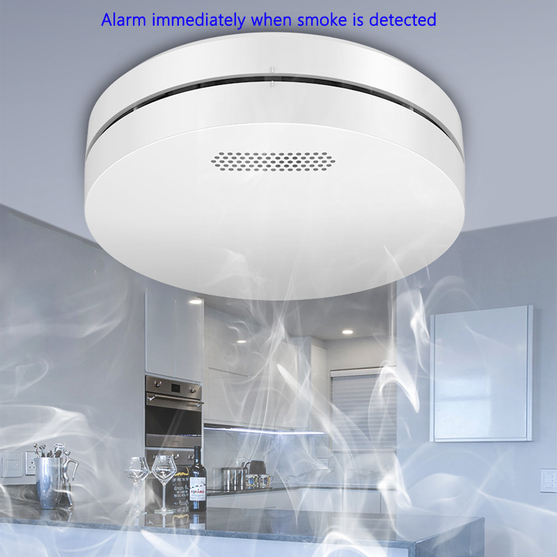 Tuya WiFi Detection Audible an - Smart Smoke Detector のレビューと価格