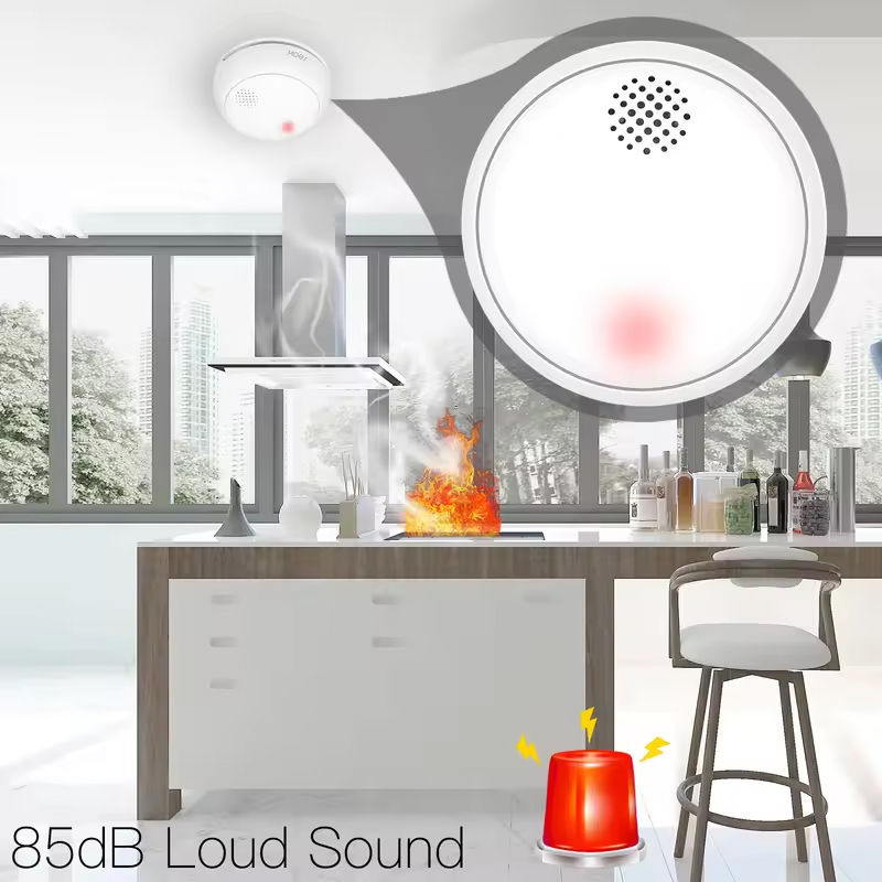 MOES ZigBee Smart Wireless Smo - Smart Smoke Detector のレビューと価格