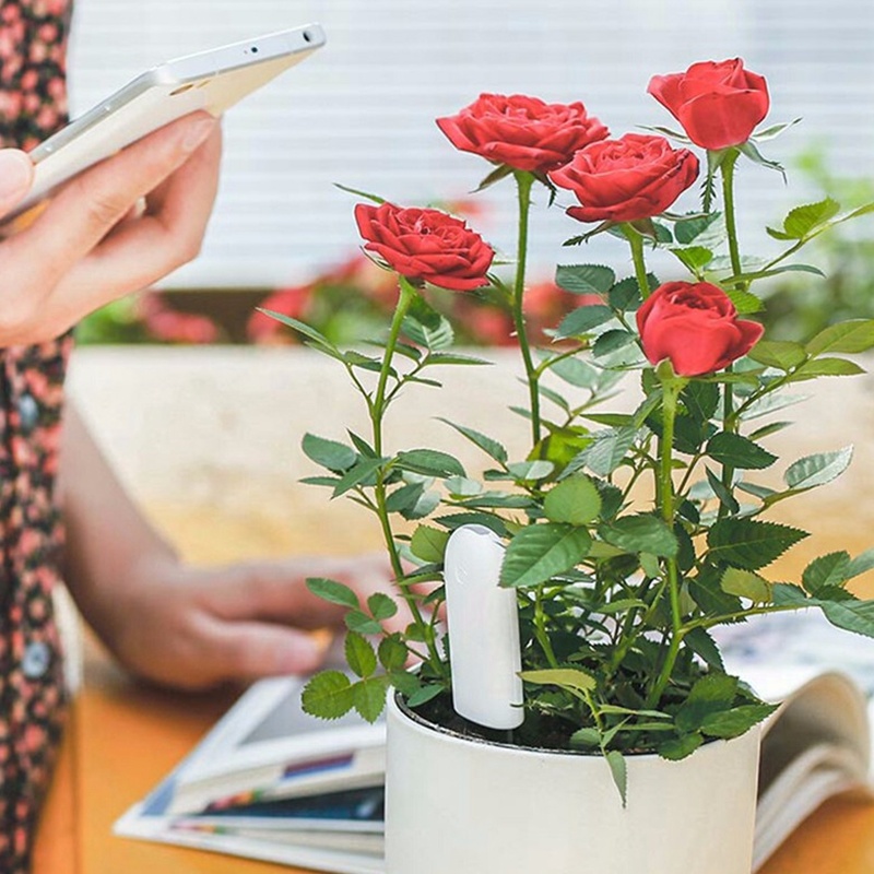 HHCC Flower Monitor Flora Gard - Smart Home Yeelight のレビューと価格