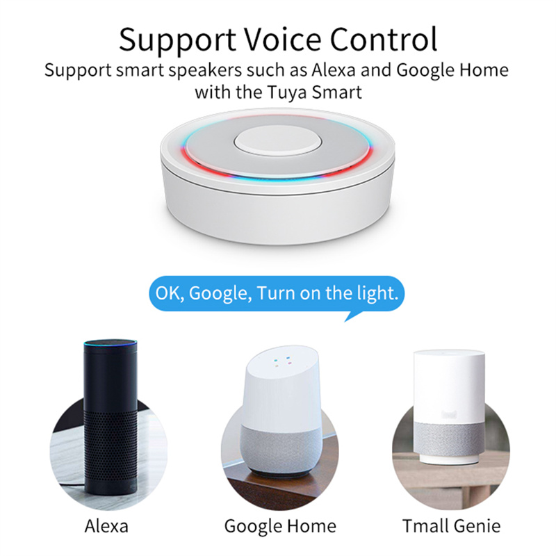 HomeKit ZigBee Gateway Hub Sma - Smart Home For Windows のレビューと価格