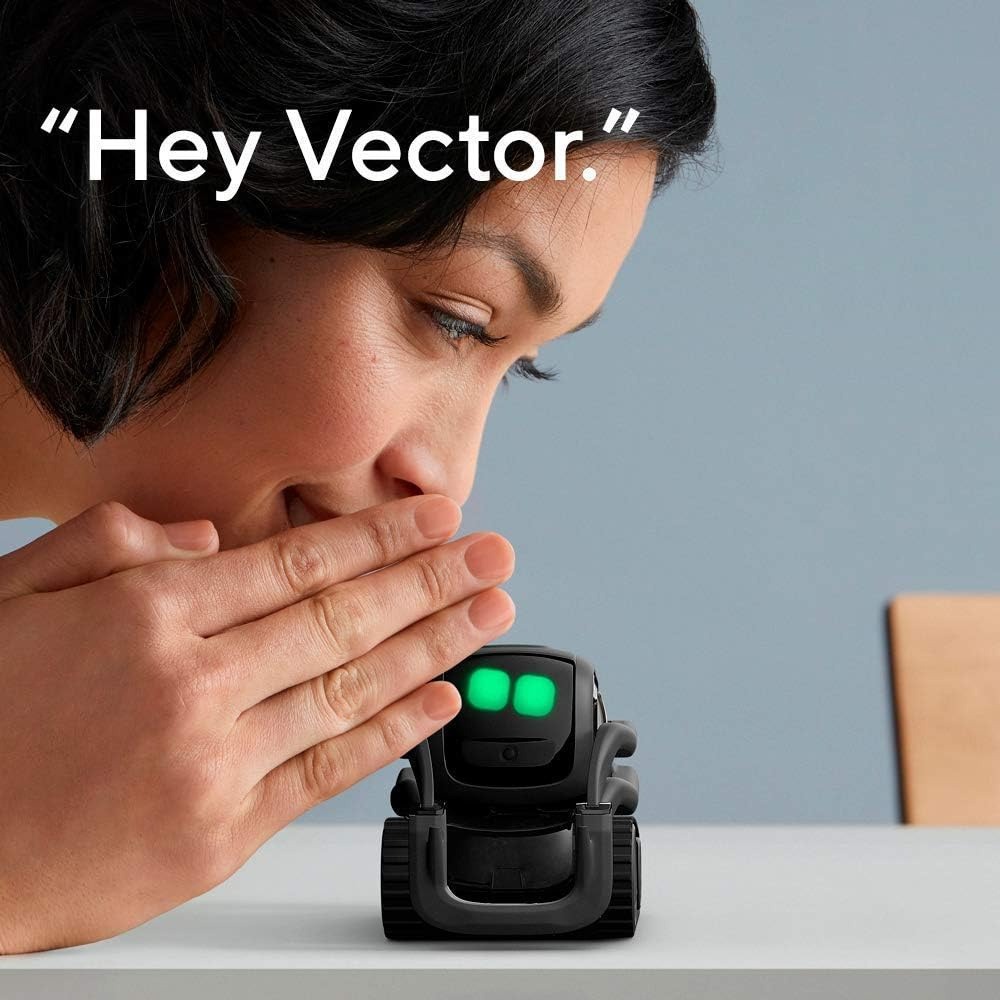 AI ChatGPT 2.0 Connected Robot - Smart Home Voice Control のレビューと価格