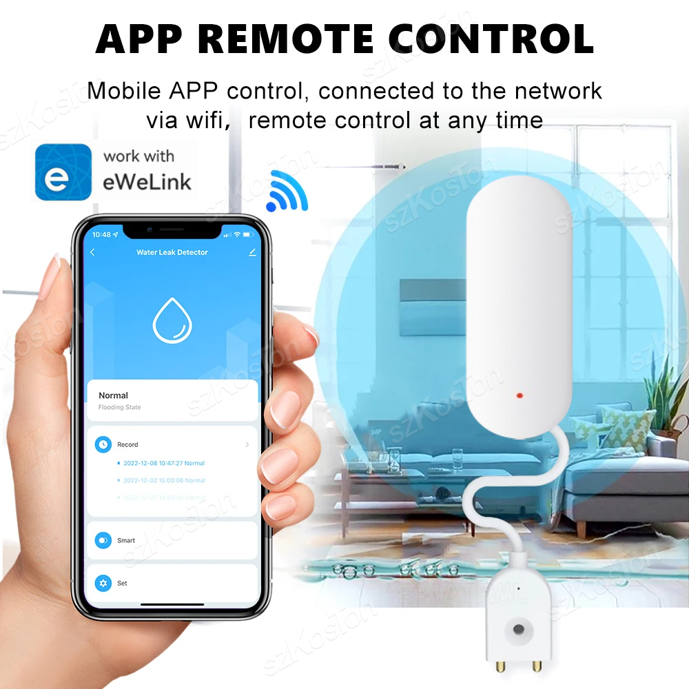 eWeLink APP Water Leak Detecto - Smart Home Gateway のレビューと価格