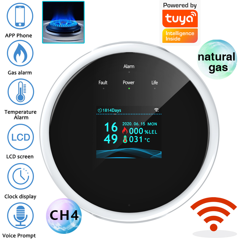 2.4G WiFi Gas Alarm Sensor Com - Smart Home Security System のレビューと価格
