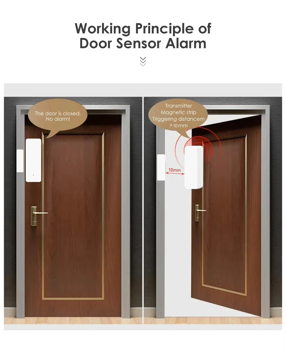 Tuya Zigbee/WiFi Magnetic Door - Smart Home Gateway のレビューと価格