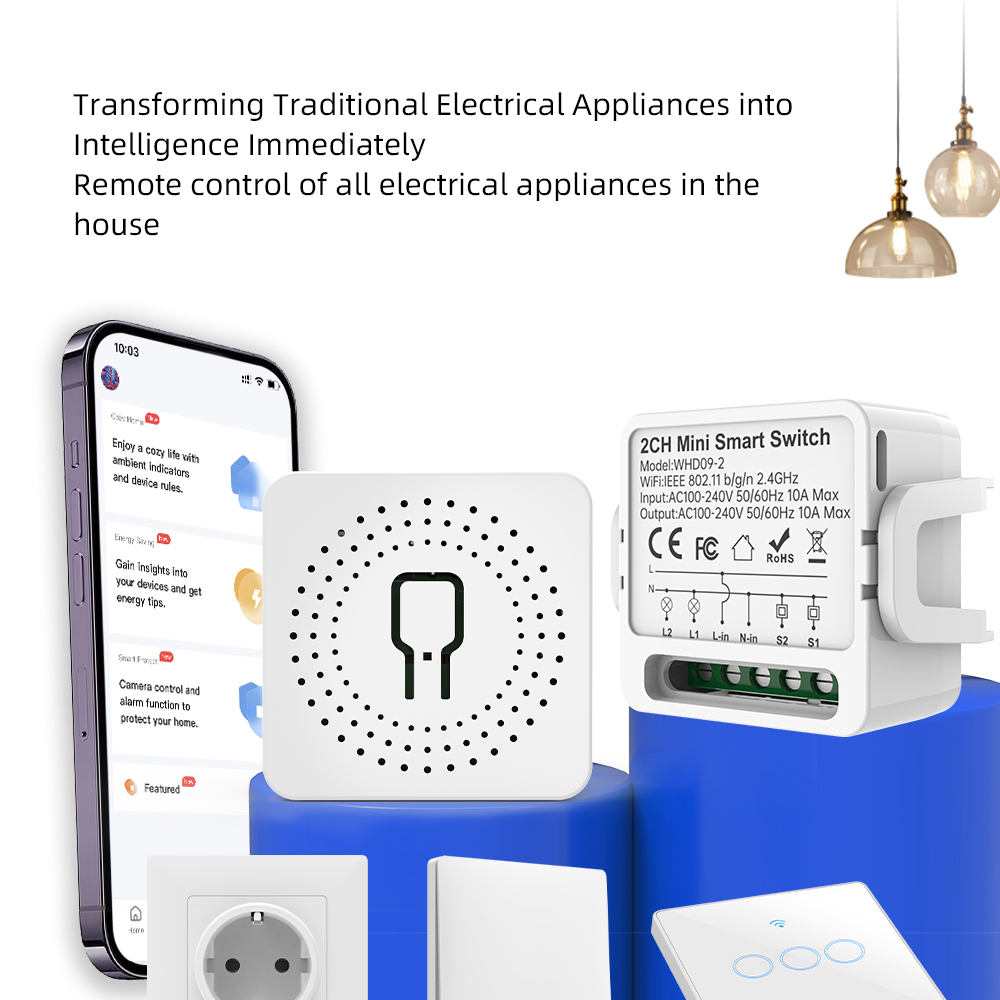 2 Way Tuya smart swtich 2Gang  - Smart Home Voice Control のレビューと価格