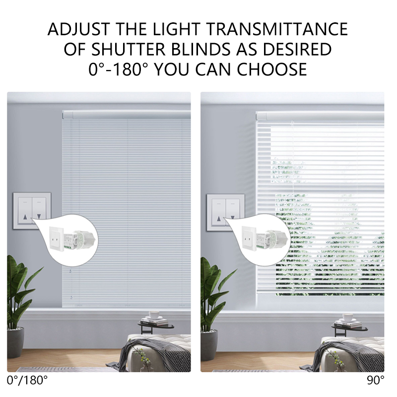 Tuya WiFi Curtain Switch Modul - Curtain Motor のレビューと価格